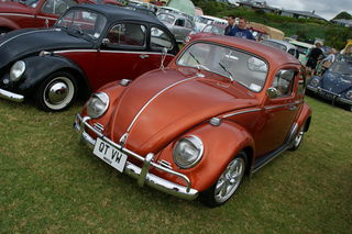 Beetle Modified